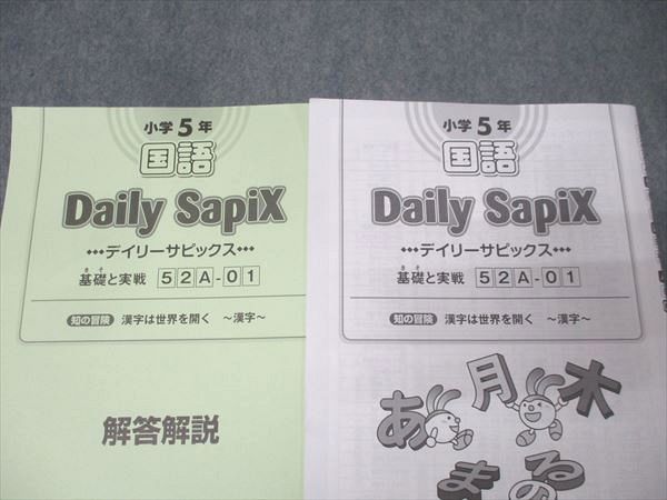 SAPIX 小学5年 国語 サマー/デイリーサピックス 基礎と実戦/読解