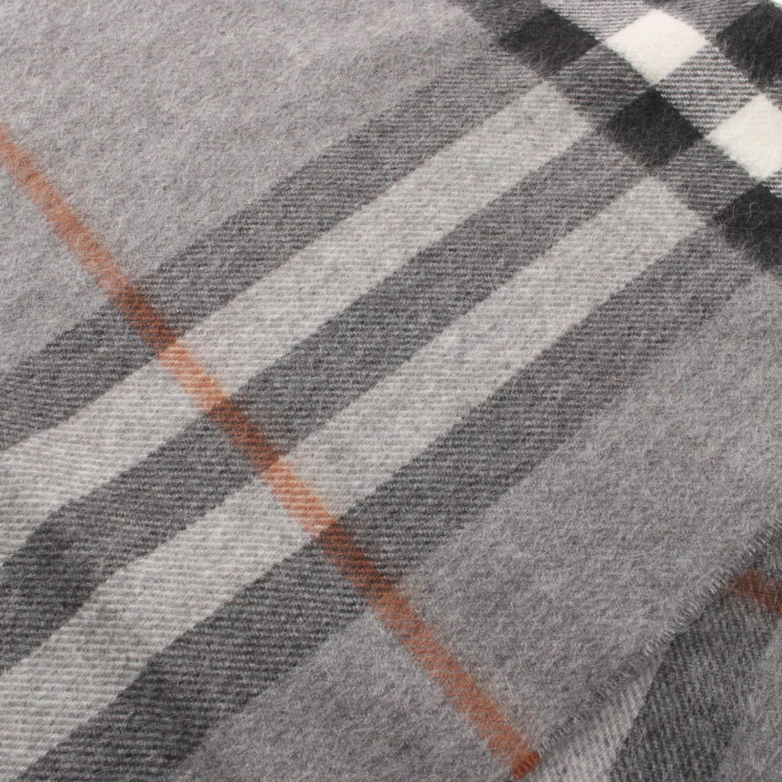 清流の如く。山採りコハウチワカエデ。 お盆特価！清流の如く。山採り