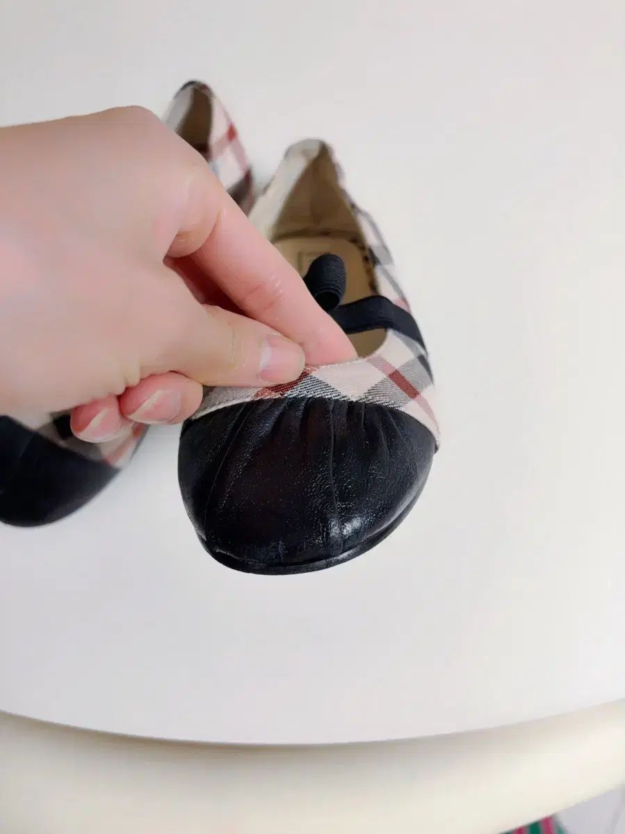ダックス