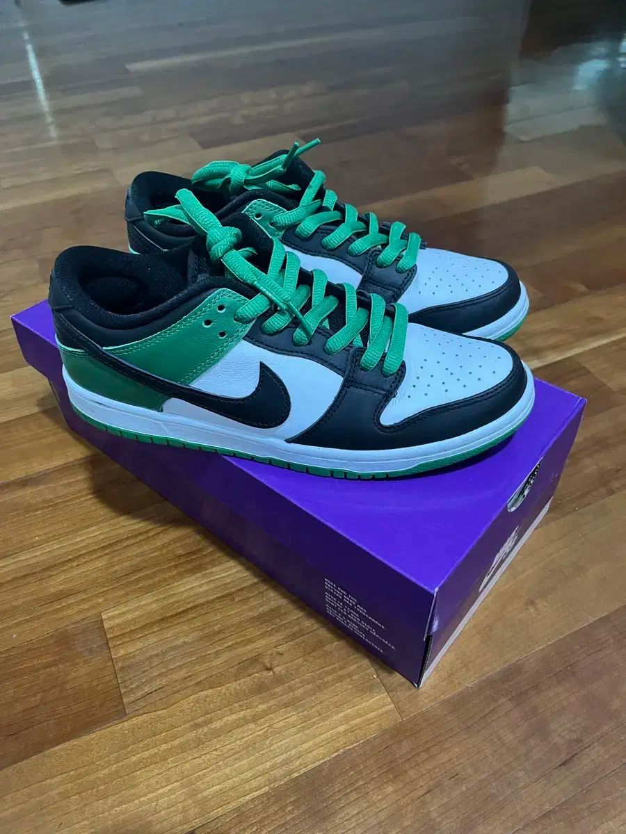 255 ナイキ SB ダンク ブラック アンド グリーン