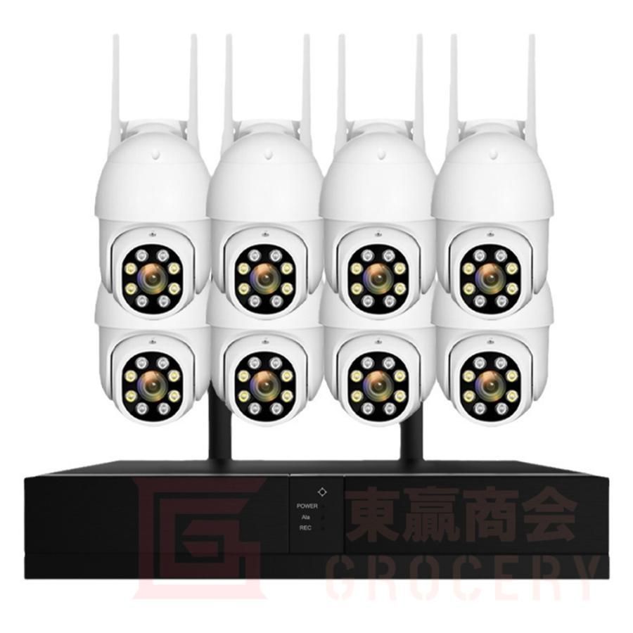 300万画素 最大8TB