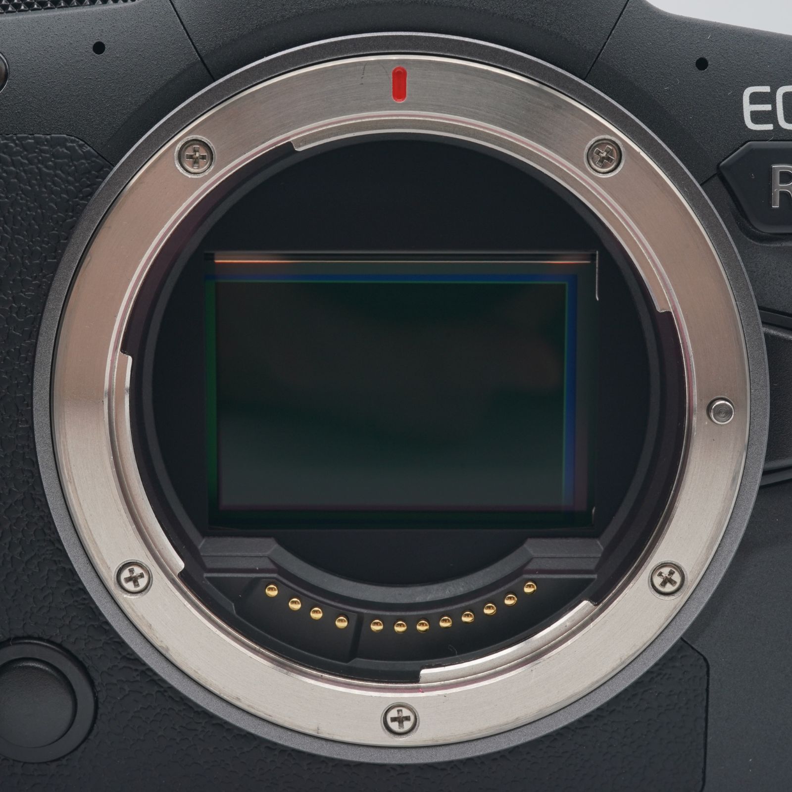 む。 【美品シャッター2000回未満】キヤノンCanon EOS R6 美品シャッター2000回未満】キヤノンCanon EOS R6 カメラ
