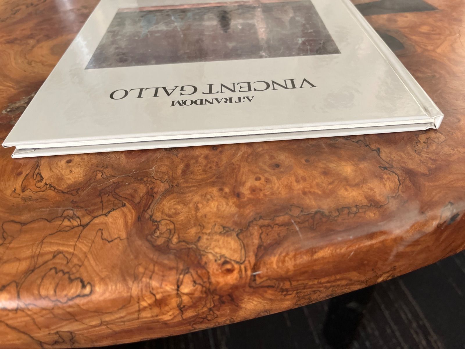 ArT RANDOM VINCENT GALLO 極美品 絶版 - メルカリ