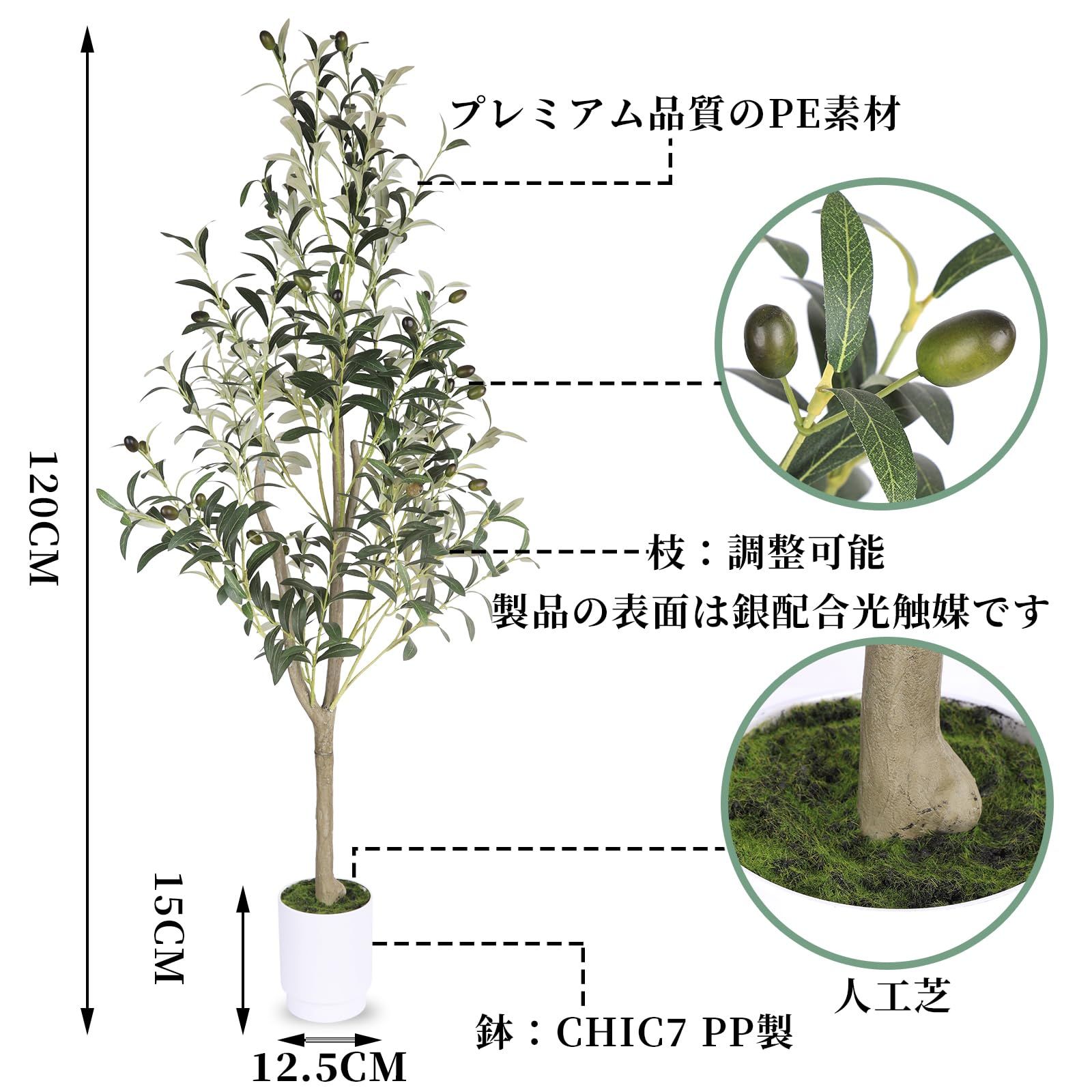 観葉樹