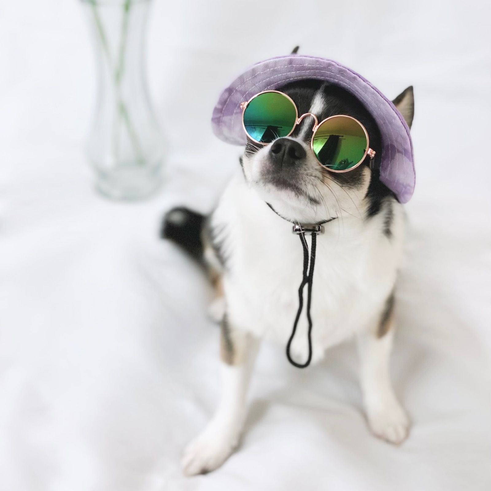 メルカリshops ウォッシュ柄 ペット用 ハット 紫 犬服 犬の服 帽子 日除け