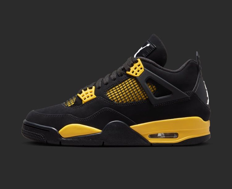 各サイズ有】nike air jordan4 retro 