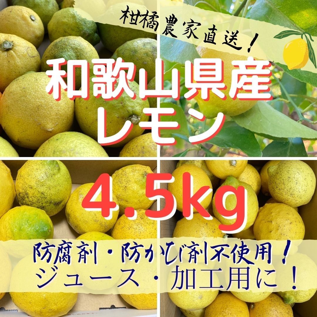 訳あり 和歌山県産 レモン 箱込み10キロ - 果物