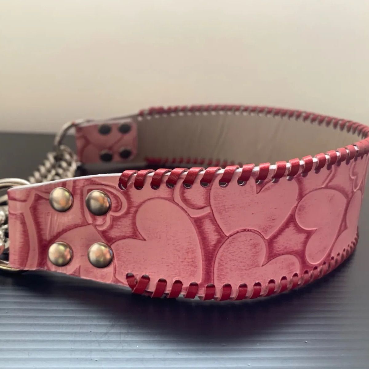 COACH コーチ シグネチャー 犬用首輪 リード セット Lサイズ