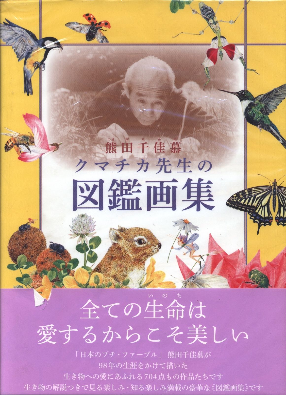 熊田千佳慕 クマチカ先生の図鑑画集 熊田千佳慕展 – KOOL SHAKER