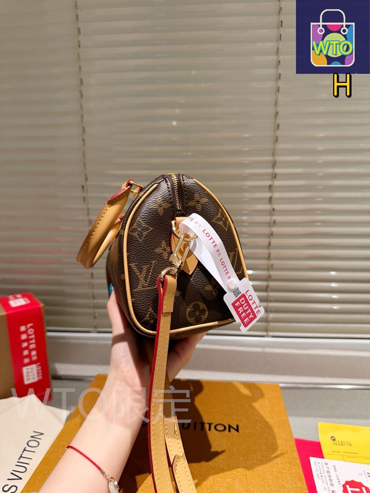 今日特価】LV (Louis Vuitton) Speedy 20 ピローバッグ