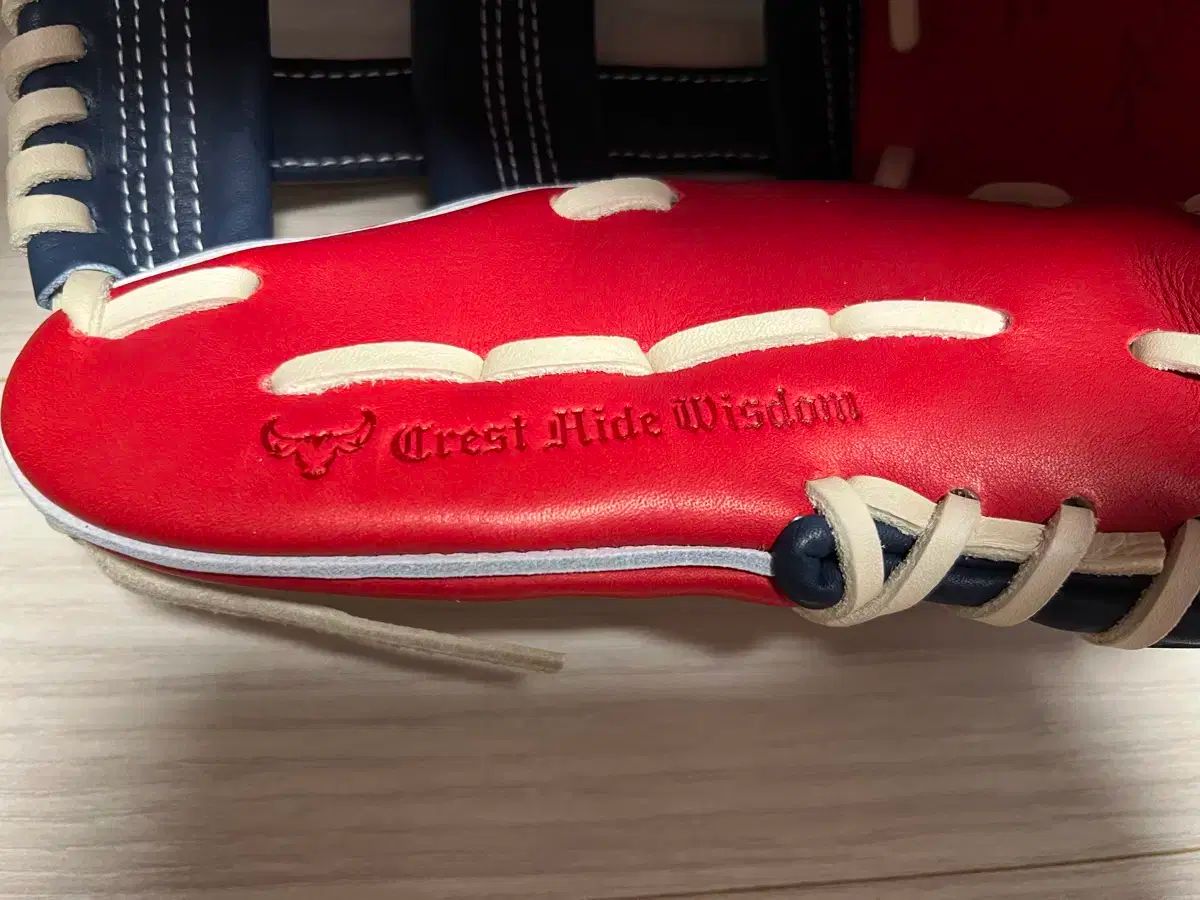 2025年新作。 Mizuno Pro ミズノプロ A エディション 2 内野 外野 グローブ 販売