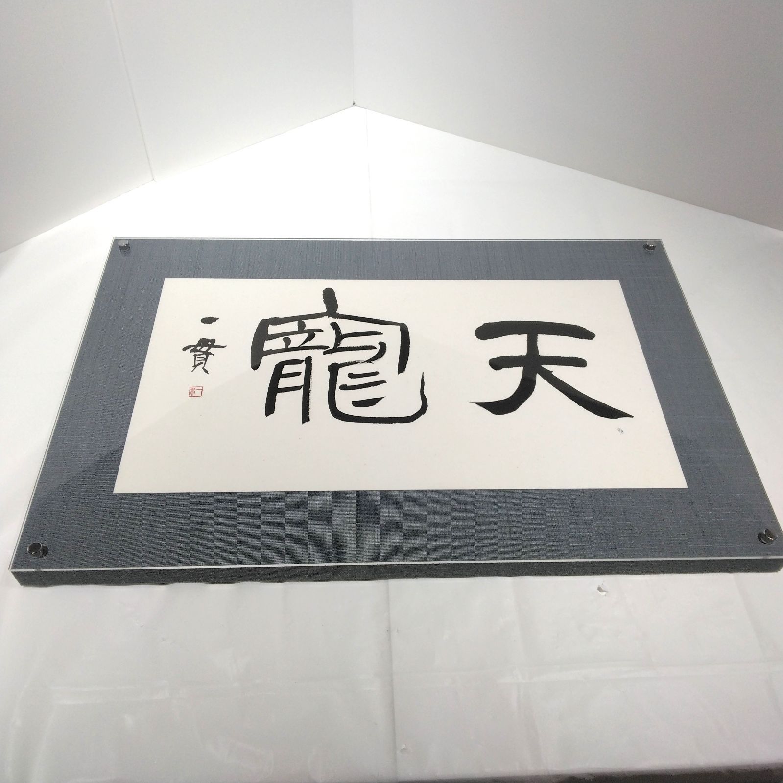 額装 書道作品 天龍 墨書 書家直筆 アートパネル 和モダン A314