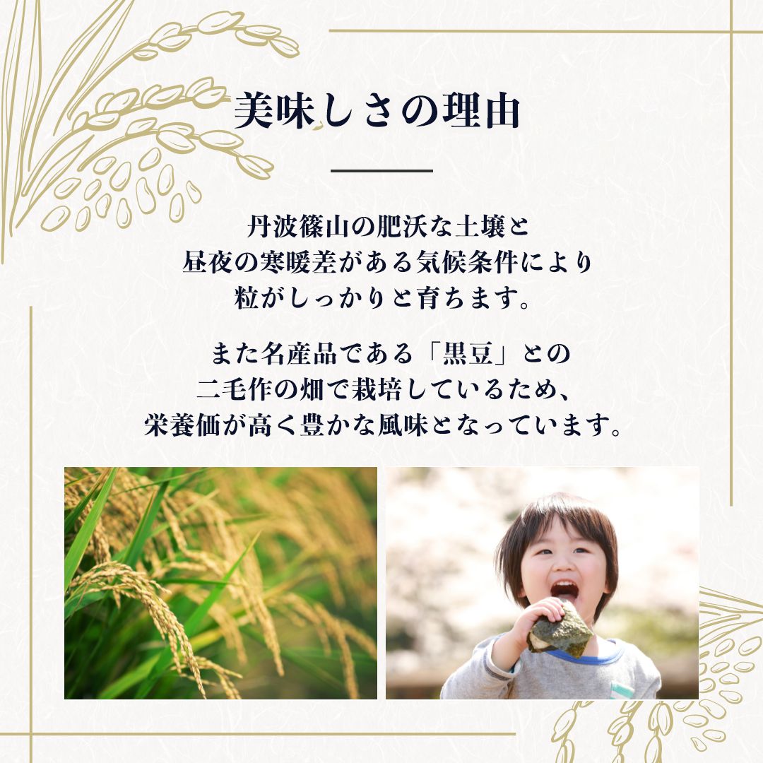 食品 丹波篠山産コシヒカリ【10kg】白米 /玄米 令和7年産 / 減農薬