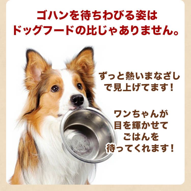 生肉 赤身15kg