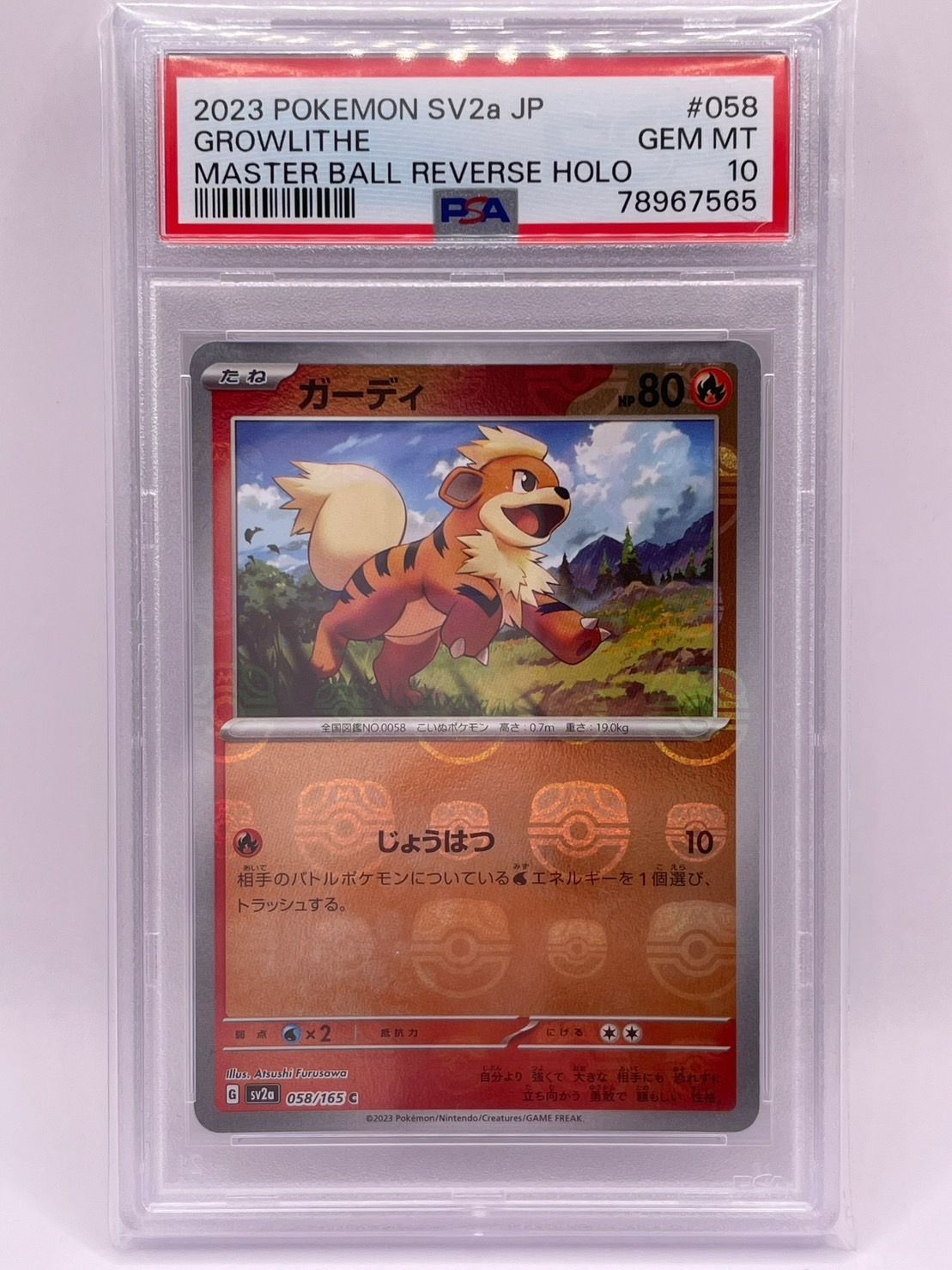 【匿名配送】ガーディ　マスターボールミラー　PSA10 growlithe