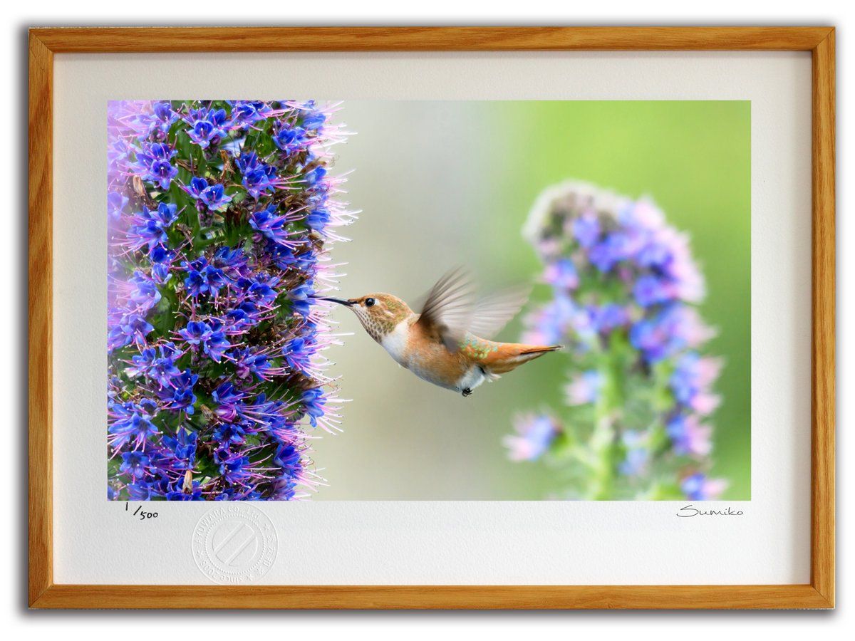 ロラライハリス(仮面レディ、サロンレディ)マルチケース(ノートカバー) ロラライハリス(仮面レディ、サロンレディ)マルチケース(ノートカバー