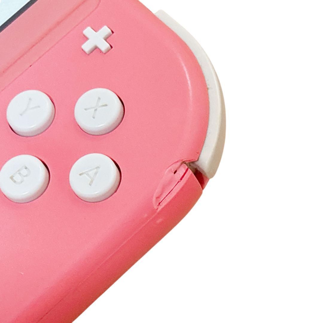 液晶 ニンテンドースイッチライト