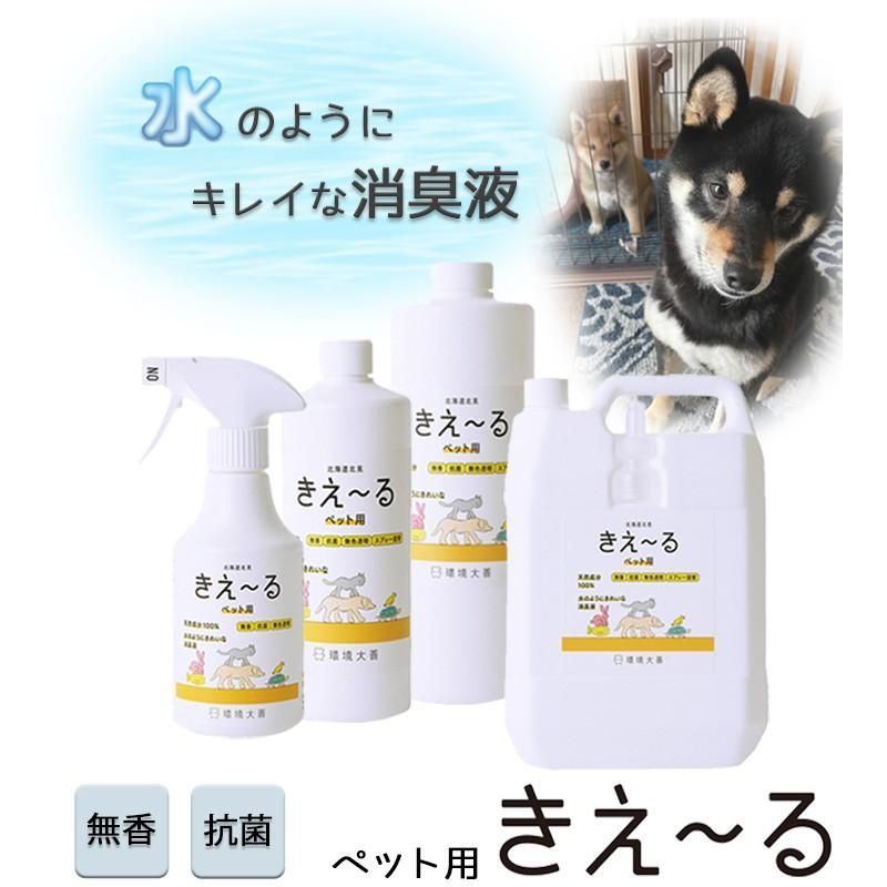 4L 環境大善