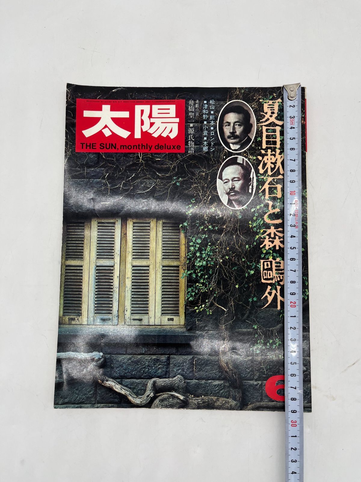 平凡社 太陽 1974年 6 THE SUN , no.133 特集 夏目漱石 と 森