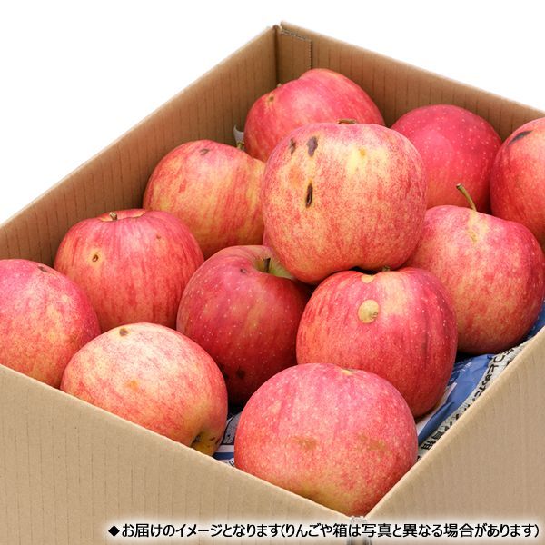 終了間近】山形県産 ご家庭用 りんご 陽光 10kg (訳あり/26玉〜46玉