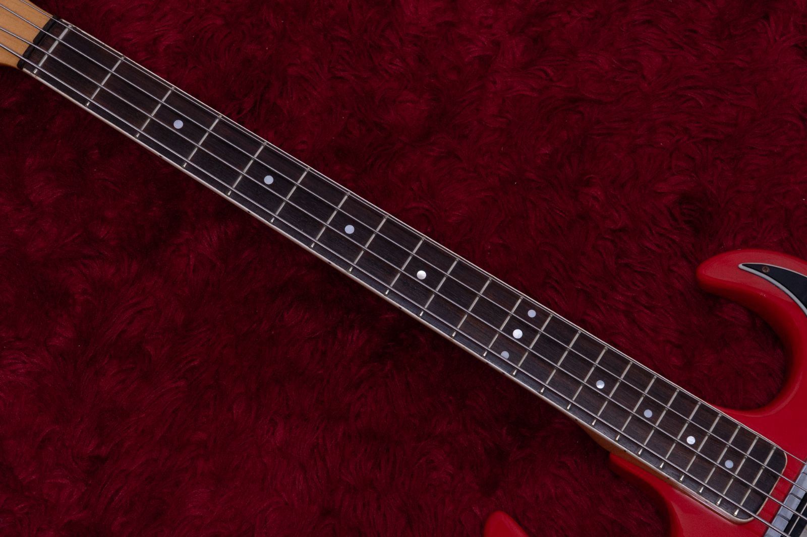 Bass