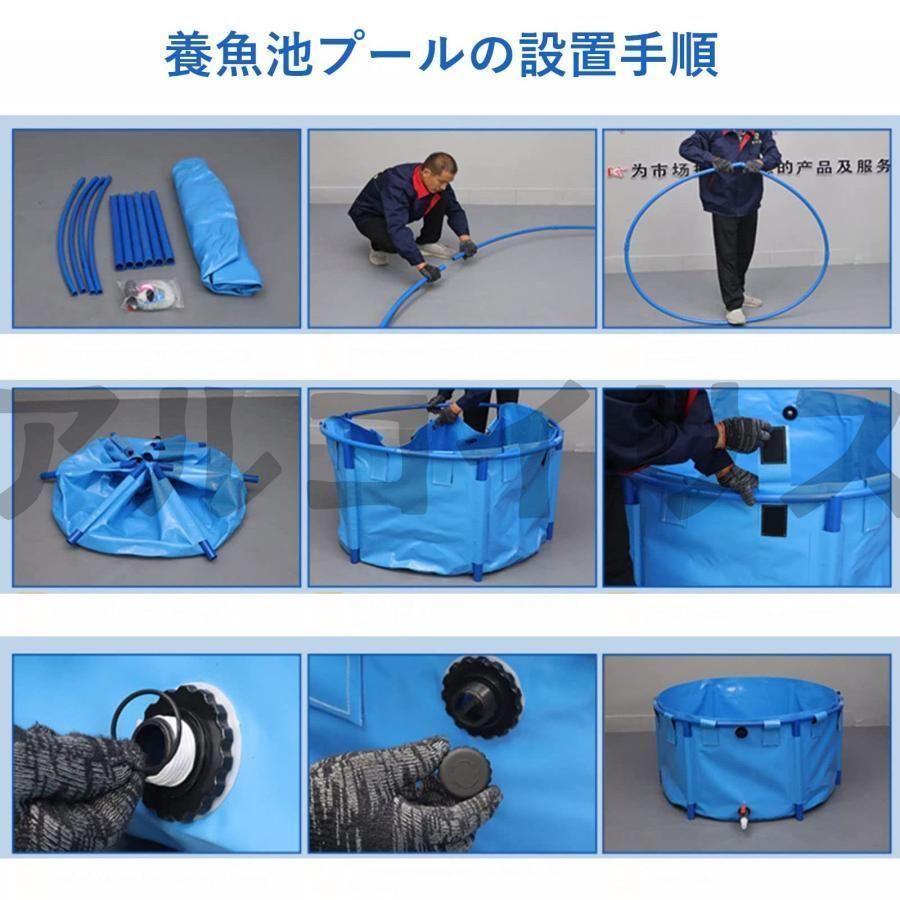 庭の池 立体養魚池
