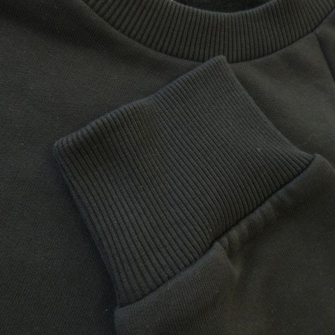 ザノースフェイス THE NORTH FACE RAG REDBOX CREW NEW