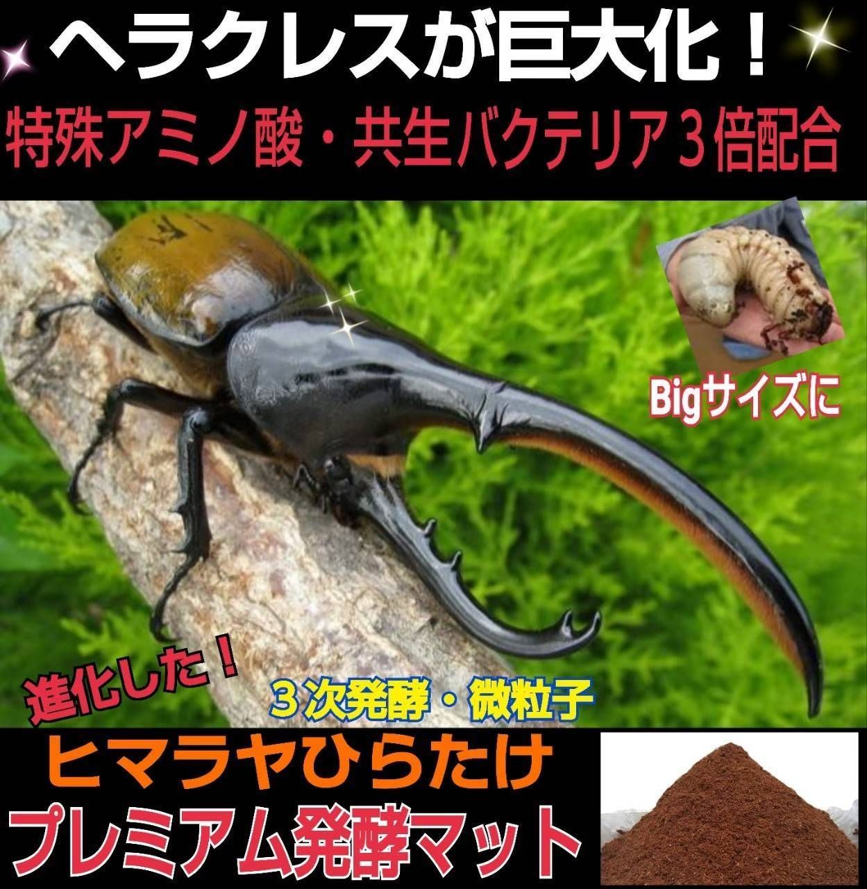幼虫がビッグサイズに！プレミアム3次発酵カブトムシマット【60L】特殊アミノ酸入 幼虫がビッグサイズに！プレミアム3次発酵カブトムシマット【60L】特殊