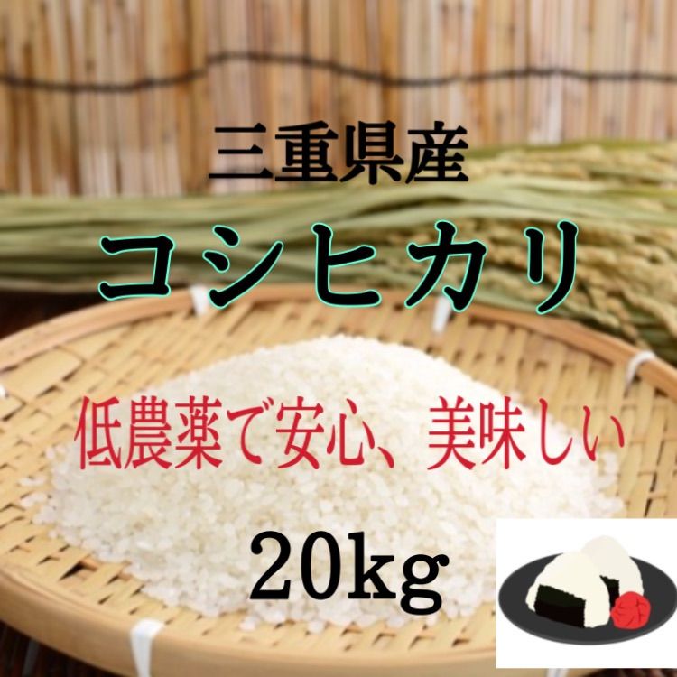 玄米三重県産コシヒカリ20kg 安心美味しい - 米/穀物