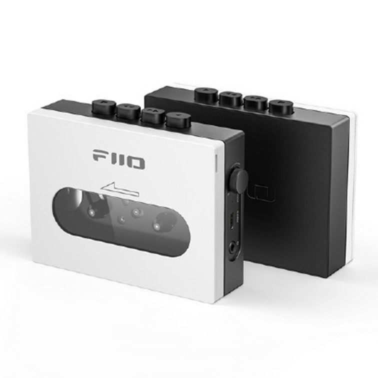 FIOCP13B