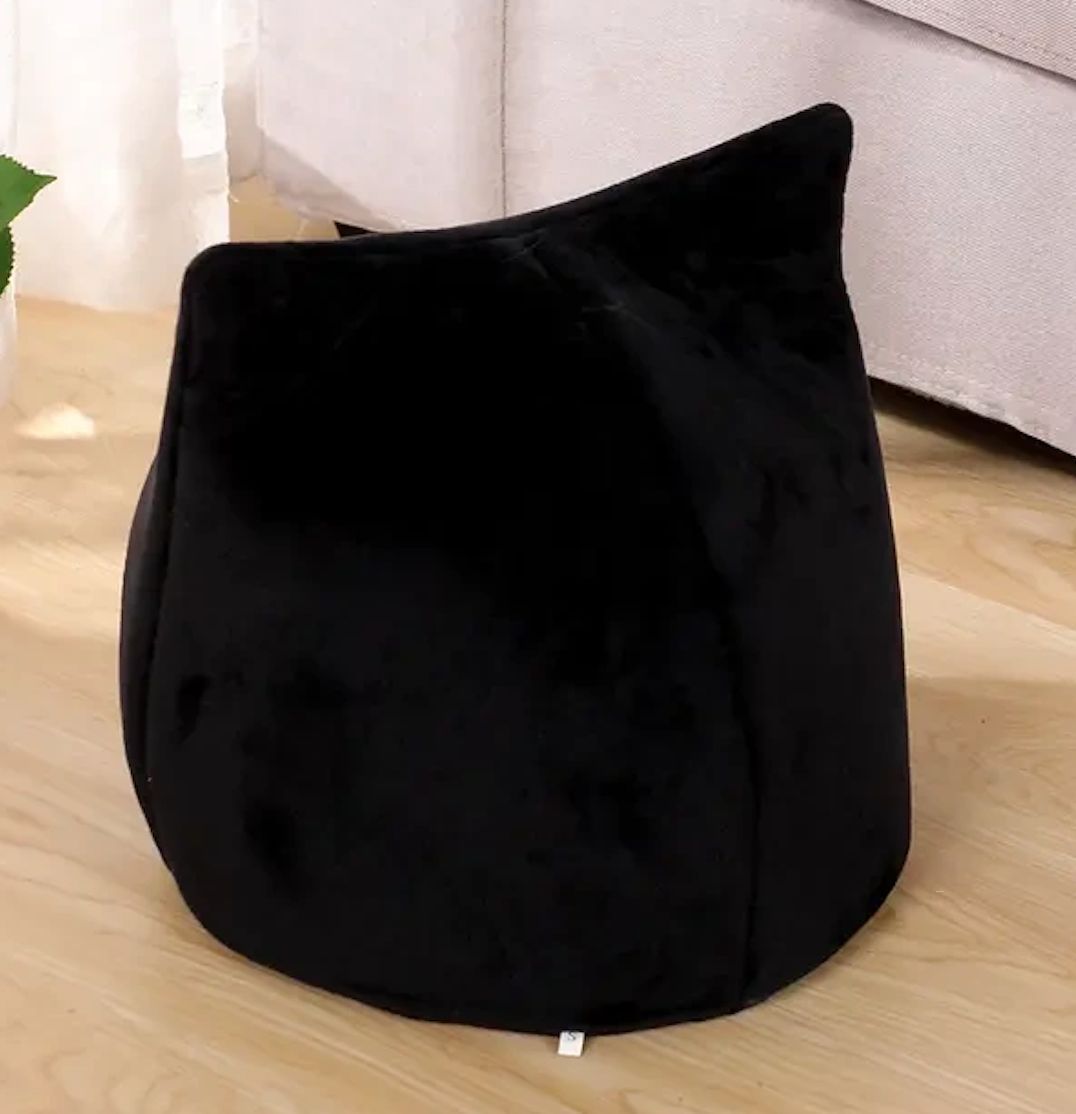 黒猫 ブラック