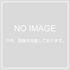 【新品・3営業日で発送】デイトナ BRAKING WK089L (76579)