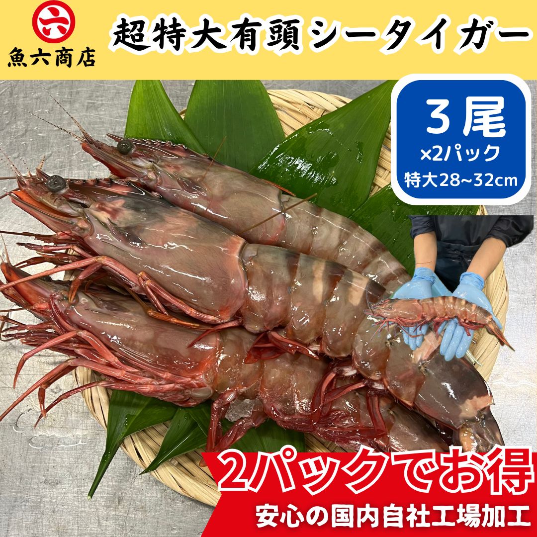 数量 入荷 超特大 シータイガー な2パックセット