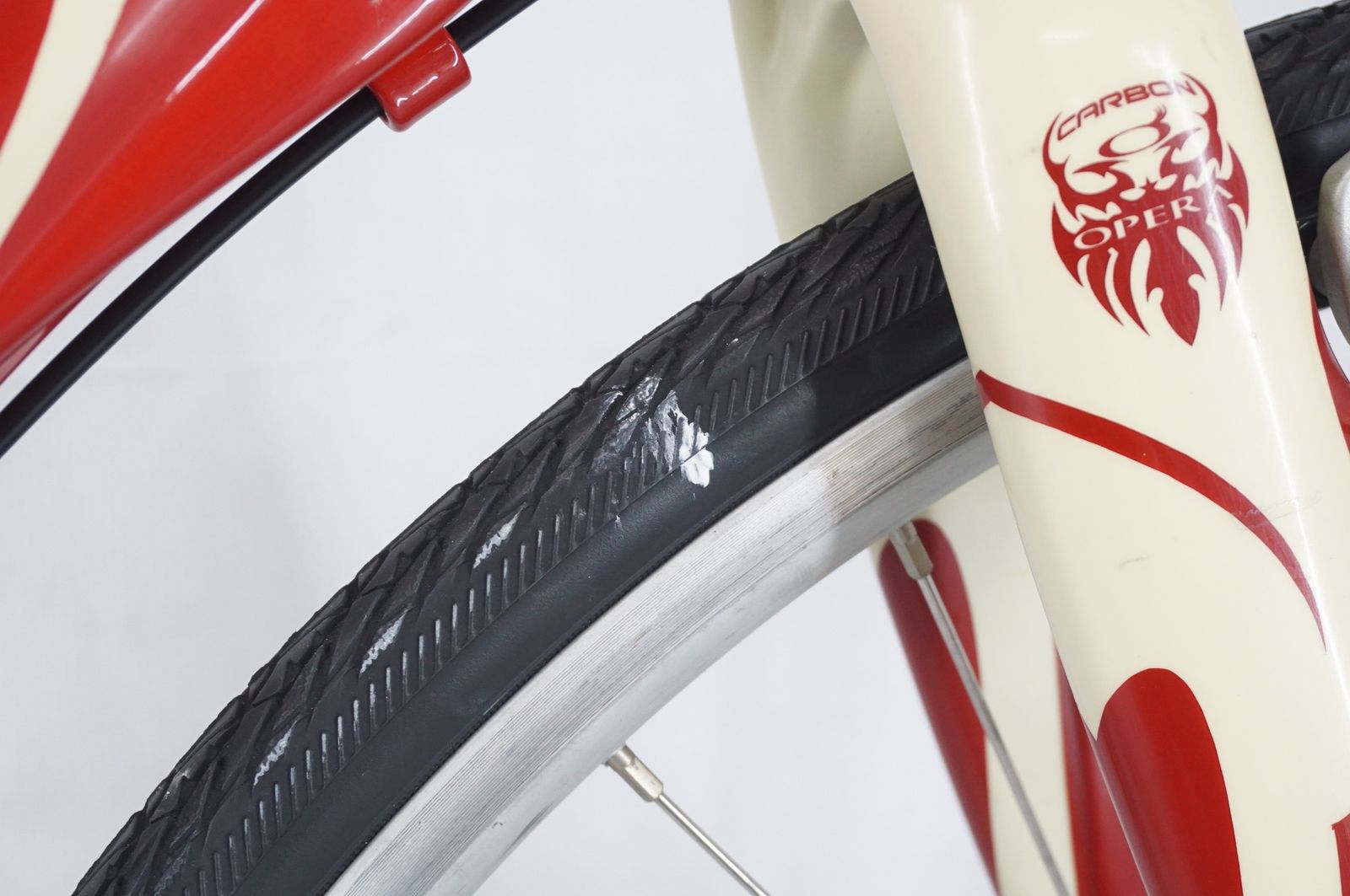 CARAVAGGIO 2010年頃