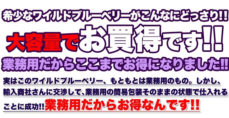 野生種★ワイルドブルーベリー大容量１ｋｇ≪常温≫SM00010048