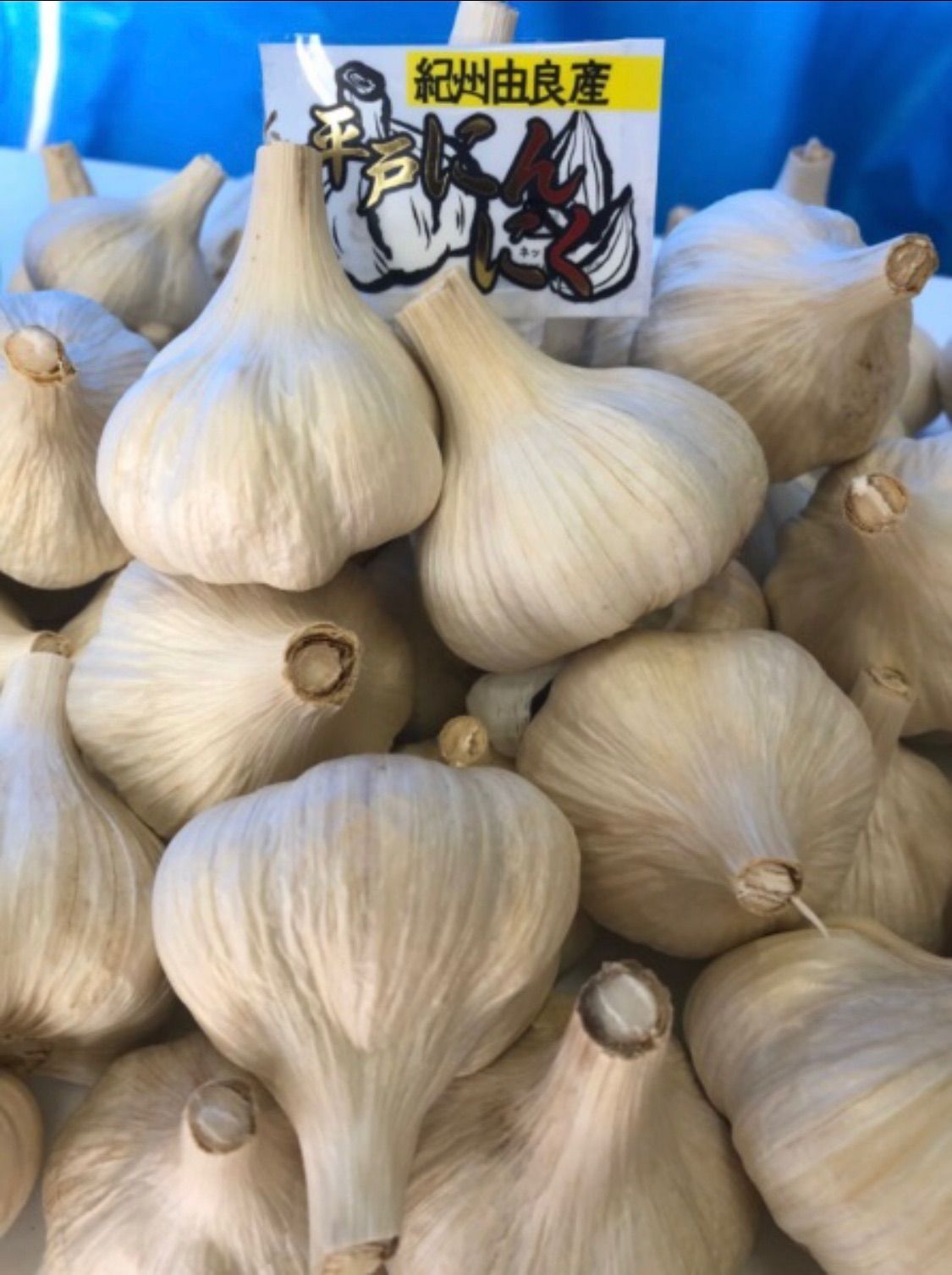 平戸にんにく 乾燥 10kg 令和7年度出荷 - メルカリ