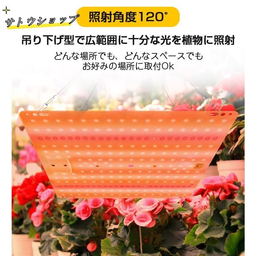 育苗ライト
