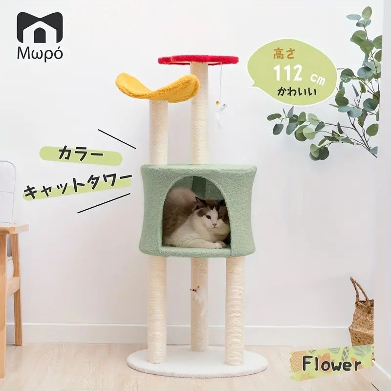大型猫