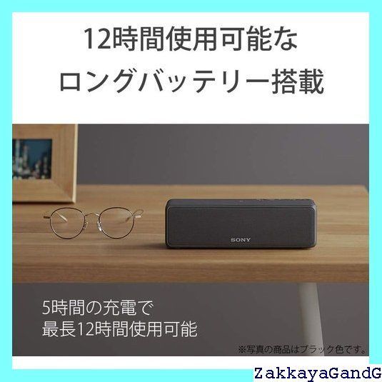 | マイク付き|