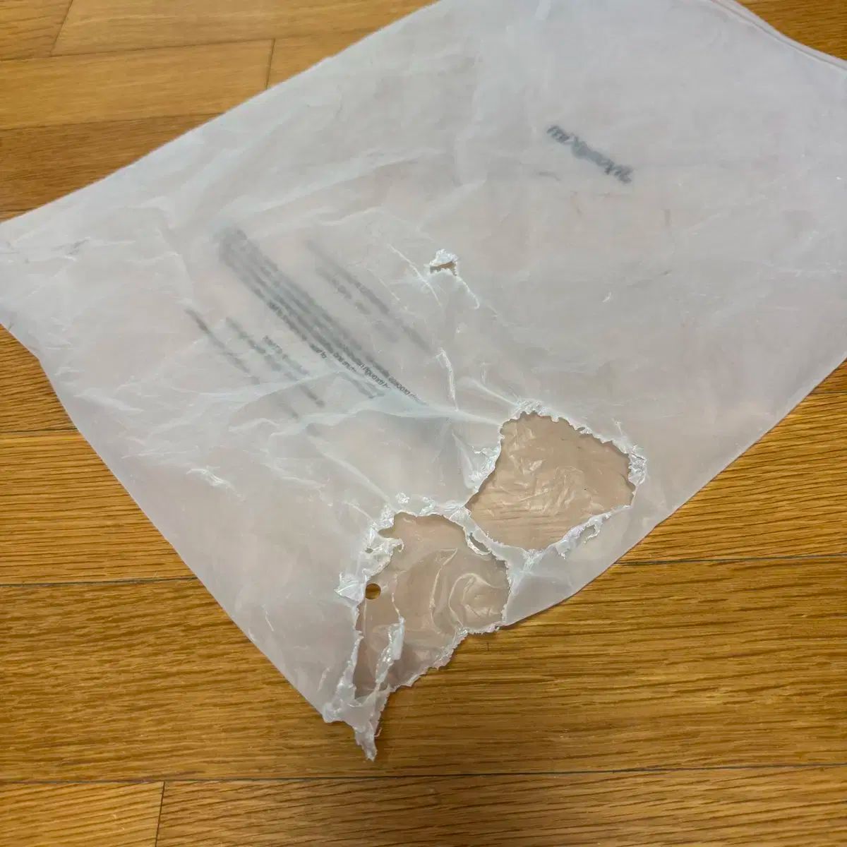 ヨン