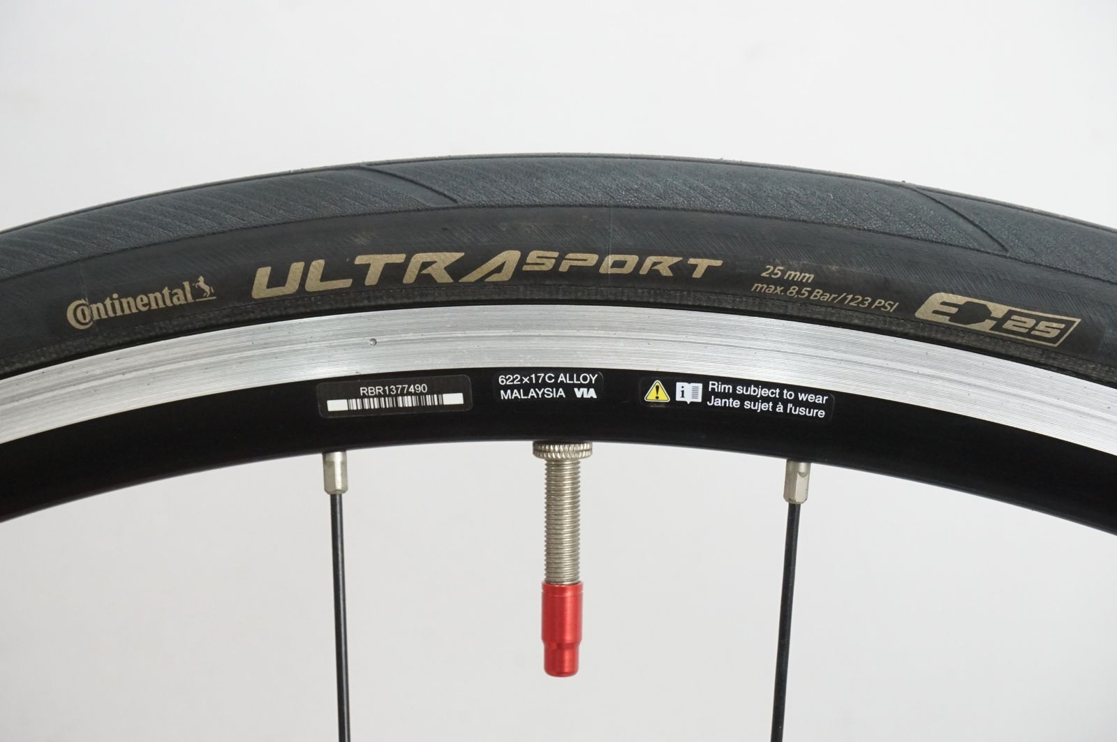 コーダーブルーム