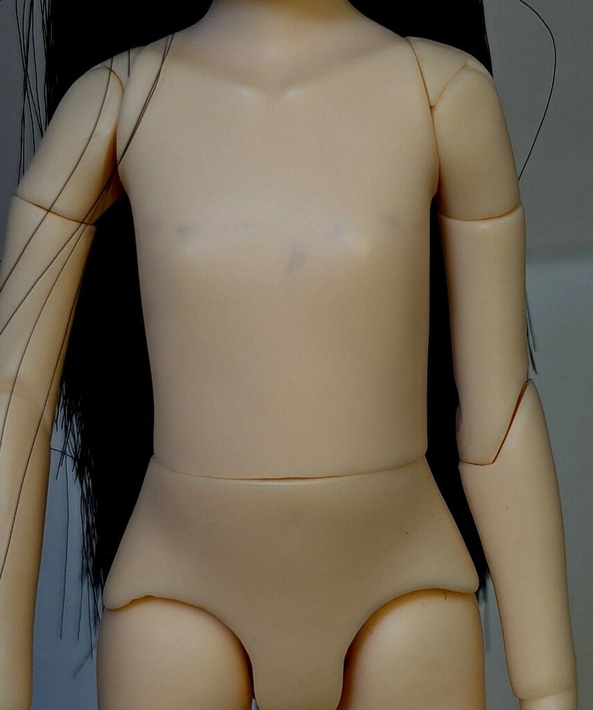 ペットワークス