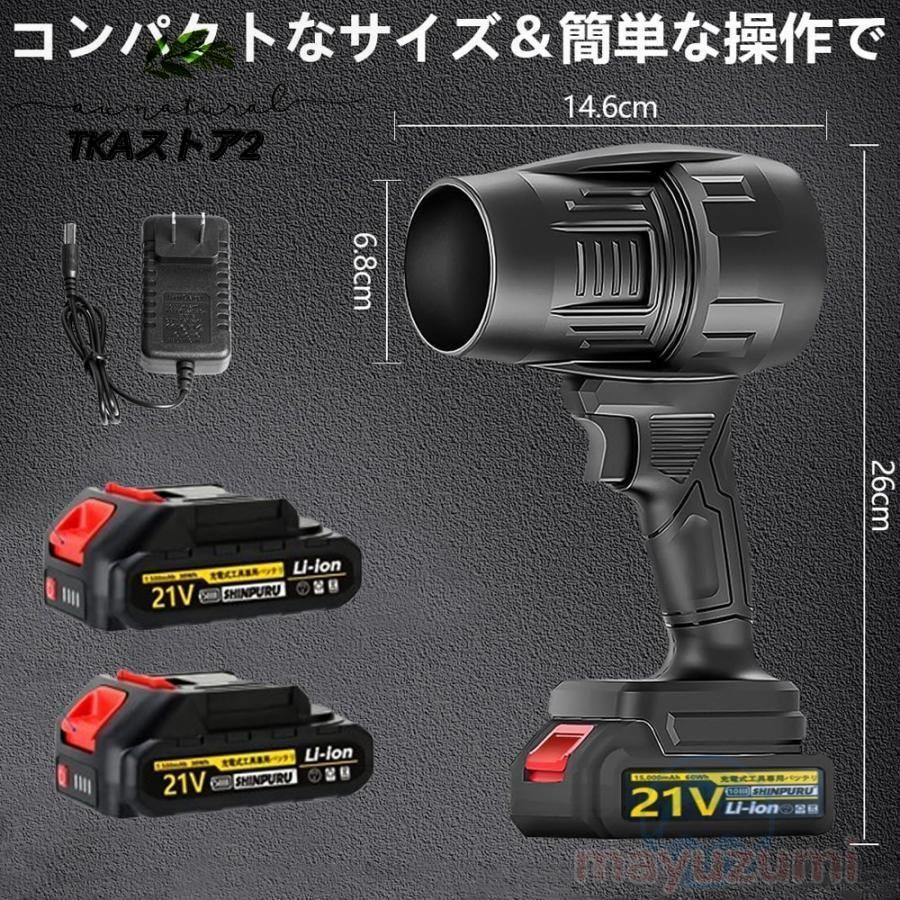 2025新登場強化版ブロワー 洗車