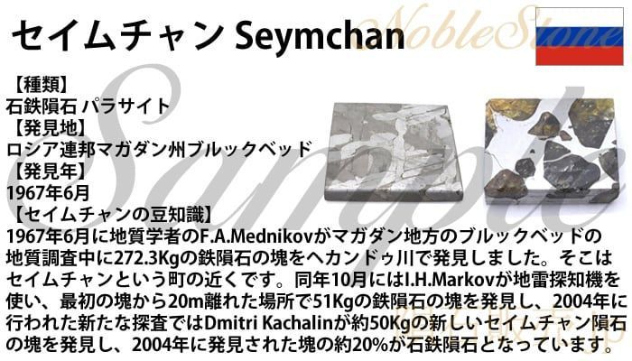 セイムチャン 24.1g スライス 標本 石鉄 隕石 パラサイト Seymchan No.38 - メルカリ