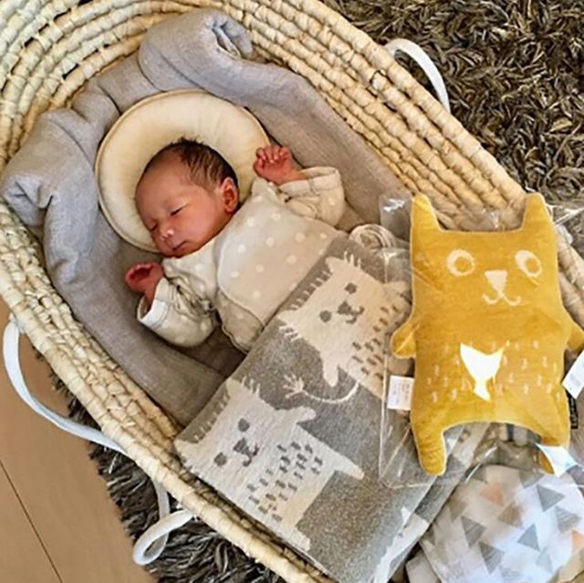 KLIPPAN (クリッパン) | (ボブキャット グレー) | シュニールコットン