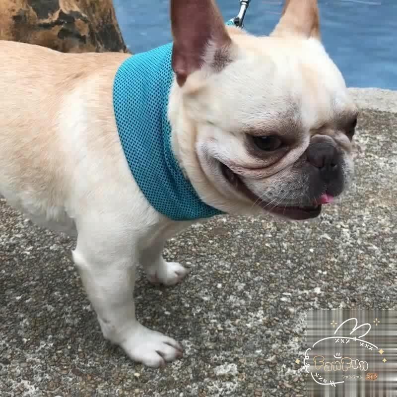 ひんやり 冷感