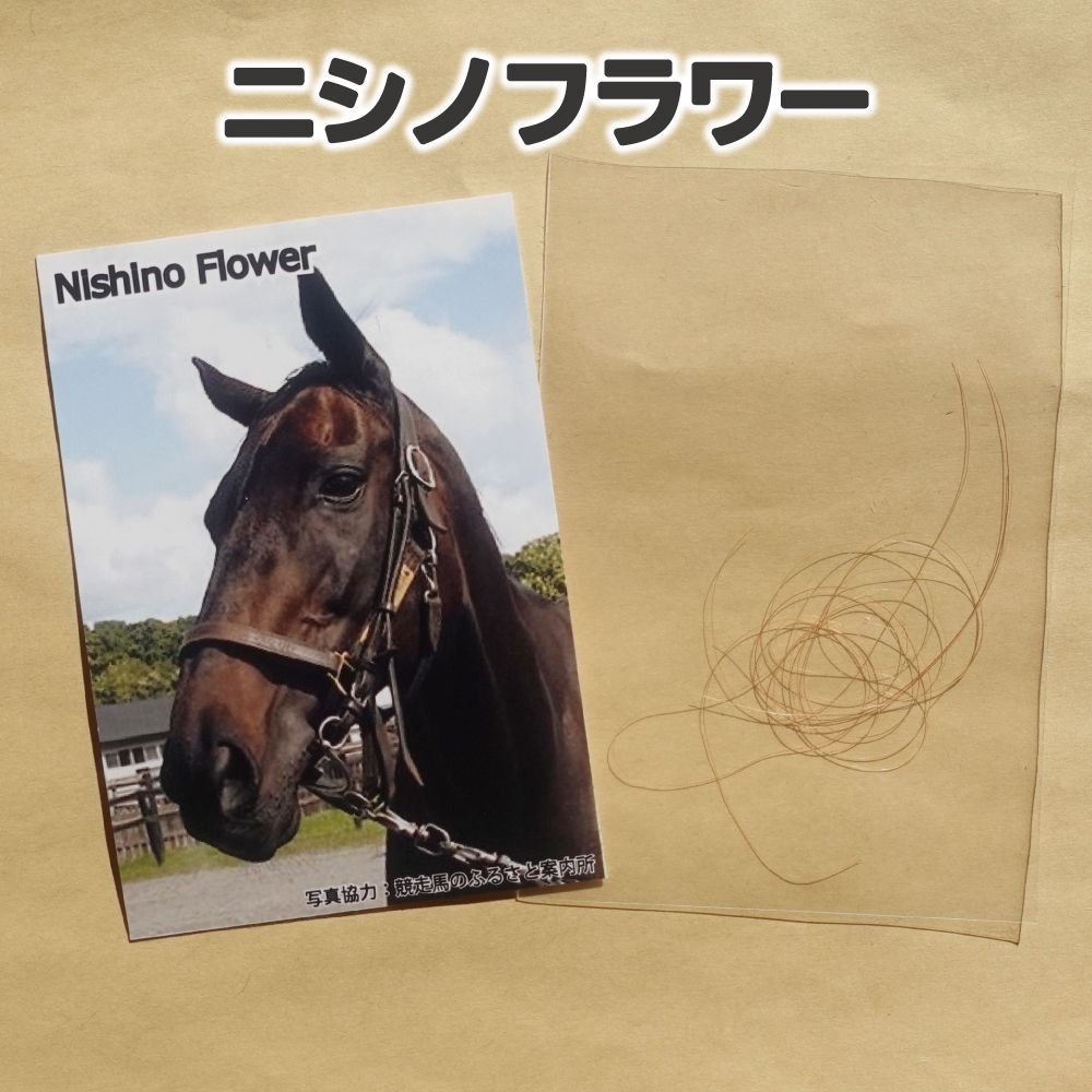 オグリキャップのたてがみ 1990年度代表馬/葦毛の怪物/平成三強