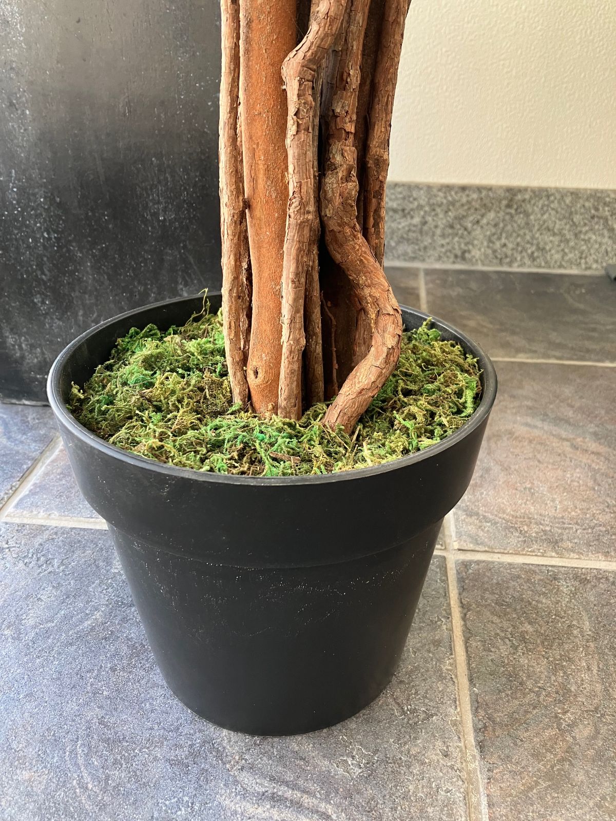 フェイクグリーン 大型 超リアル おすすめ H165cm ベンジャミン 大 WWW_OLIVIERBERNSTEIN_COM