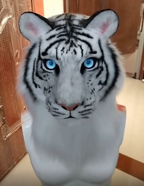 着ぐるみヘッド 虎 NO.67 リアルスタイル 全頭ヘッド ケモノ マスク 
