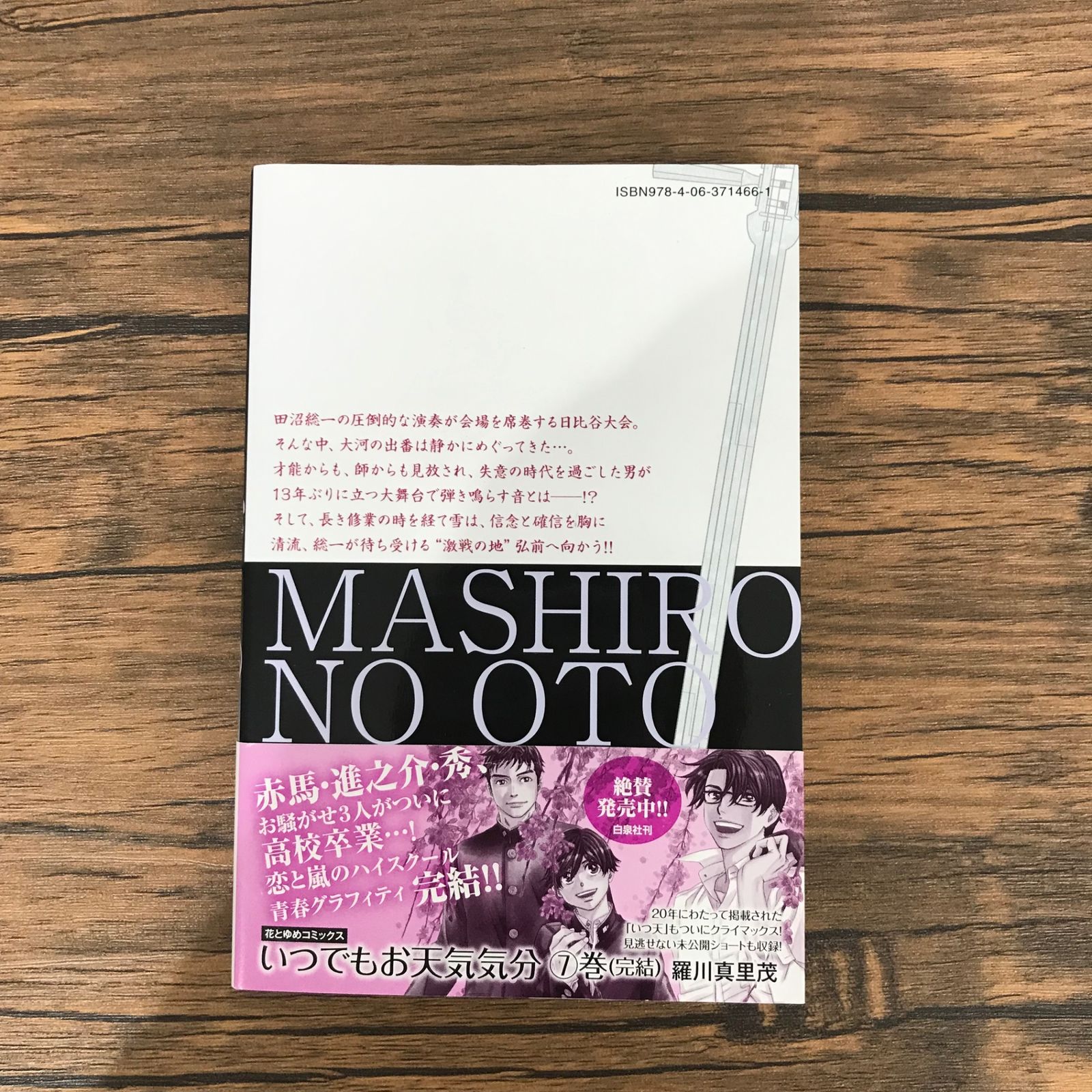 初版】【帯付き】ましろのおと 13巻のみ/【作者】羅川真里茂/GF